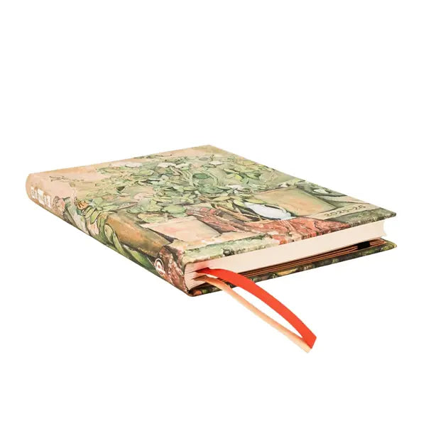 PAPERBLANK _ Agenda 18 mesi _ l vasi terracotta di Cézanne