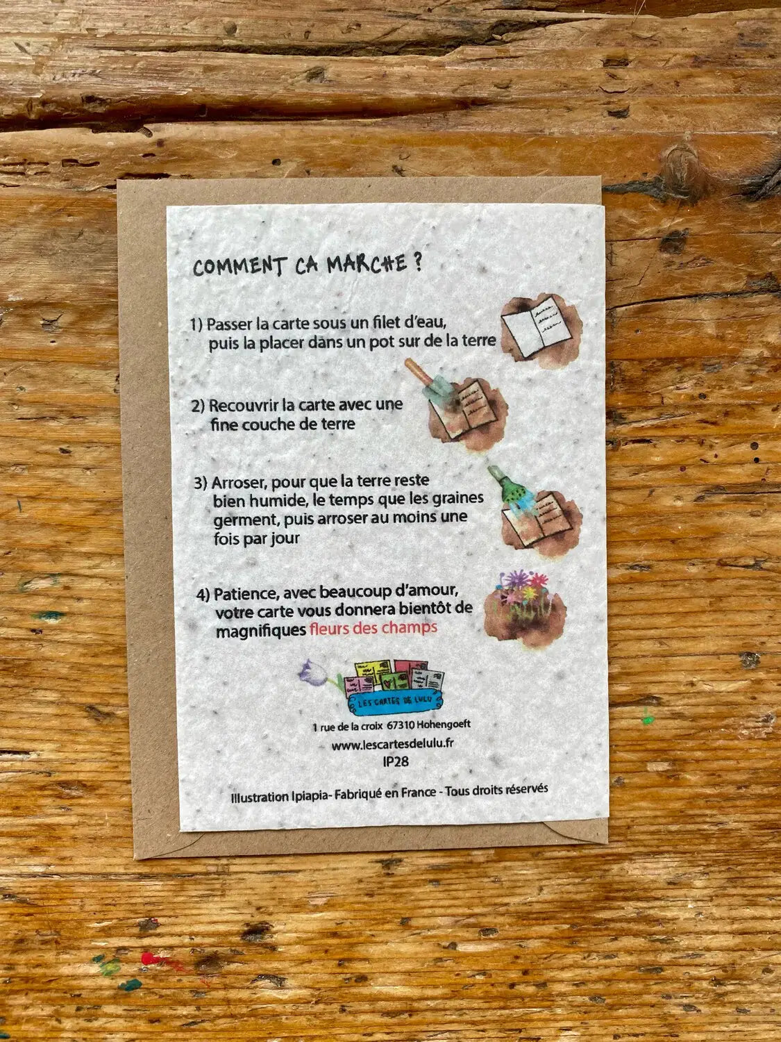 Carte da piantare « Muguet » – 5 cartoline con semi di mughetto