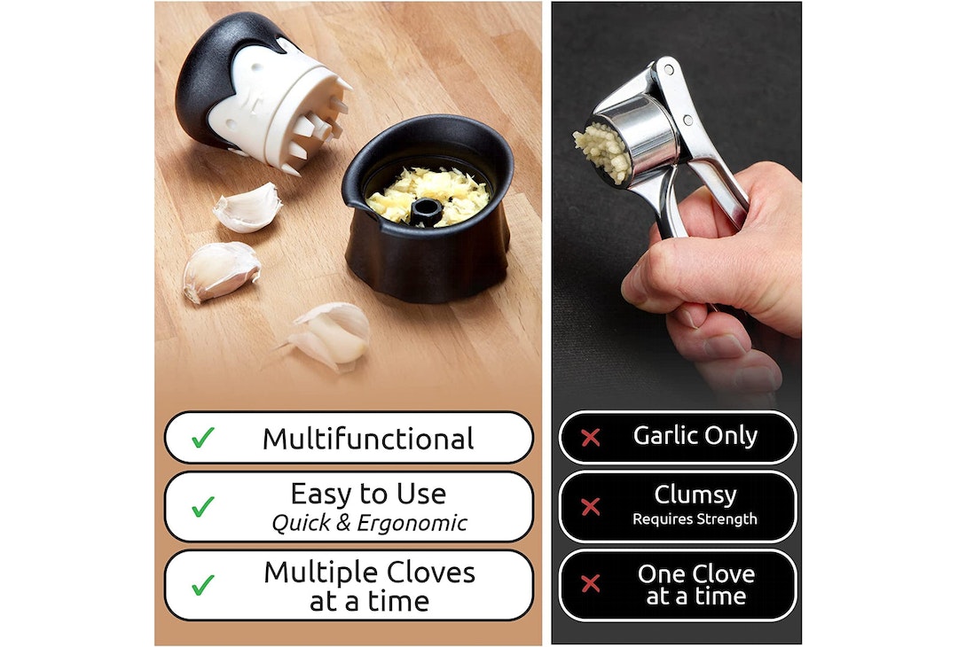 OTOTO . Gracula trita-aglio