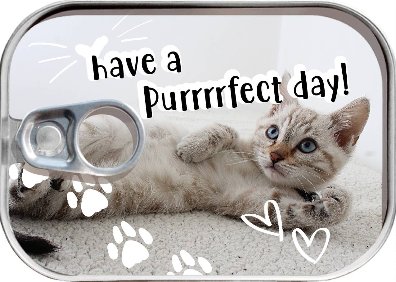 BIGLIETTO_scatola sardine _ «Purrrrfect Day»