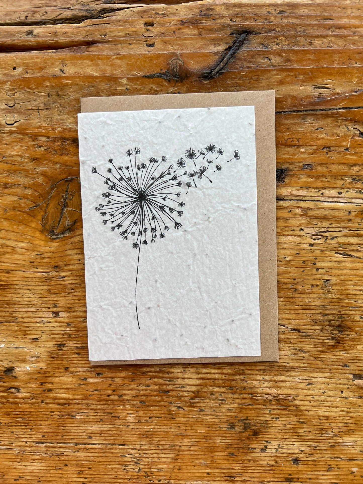 Cartolina da piantare « Dente di leone » con semi di fiori di campo