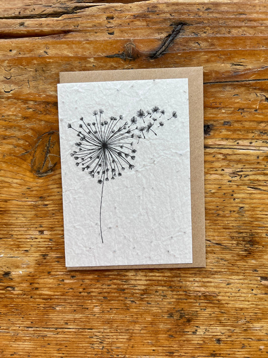 Cartolina da piantare « Dente di leone » con semi di fiori di campo