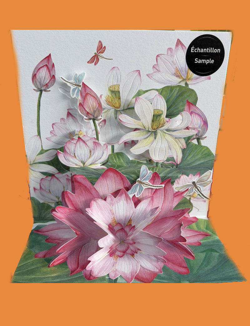 PANINI biglietti 3d fior di  loto
