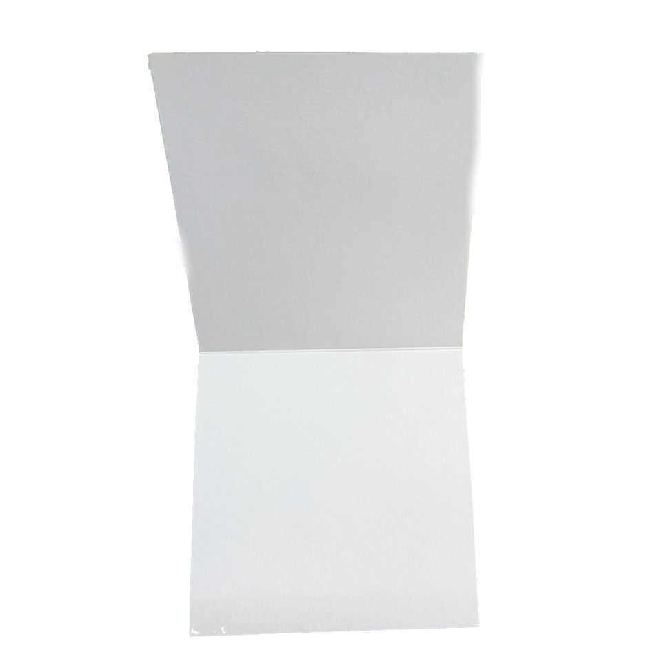 PANINI biglietti 3d pop up pappagalli