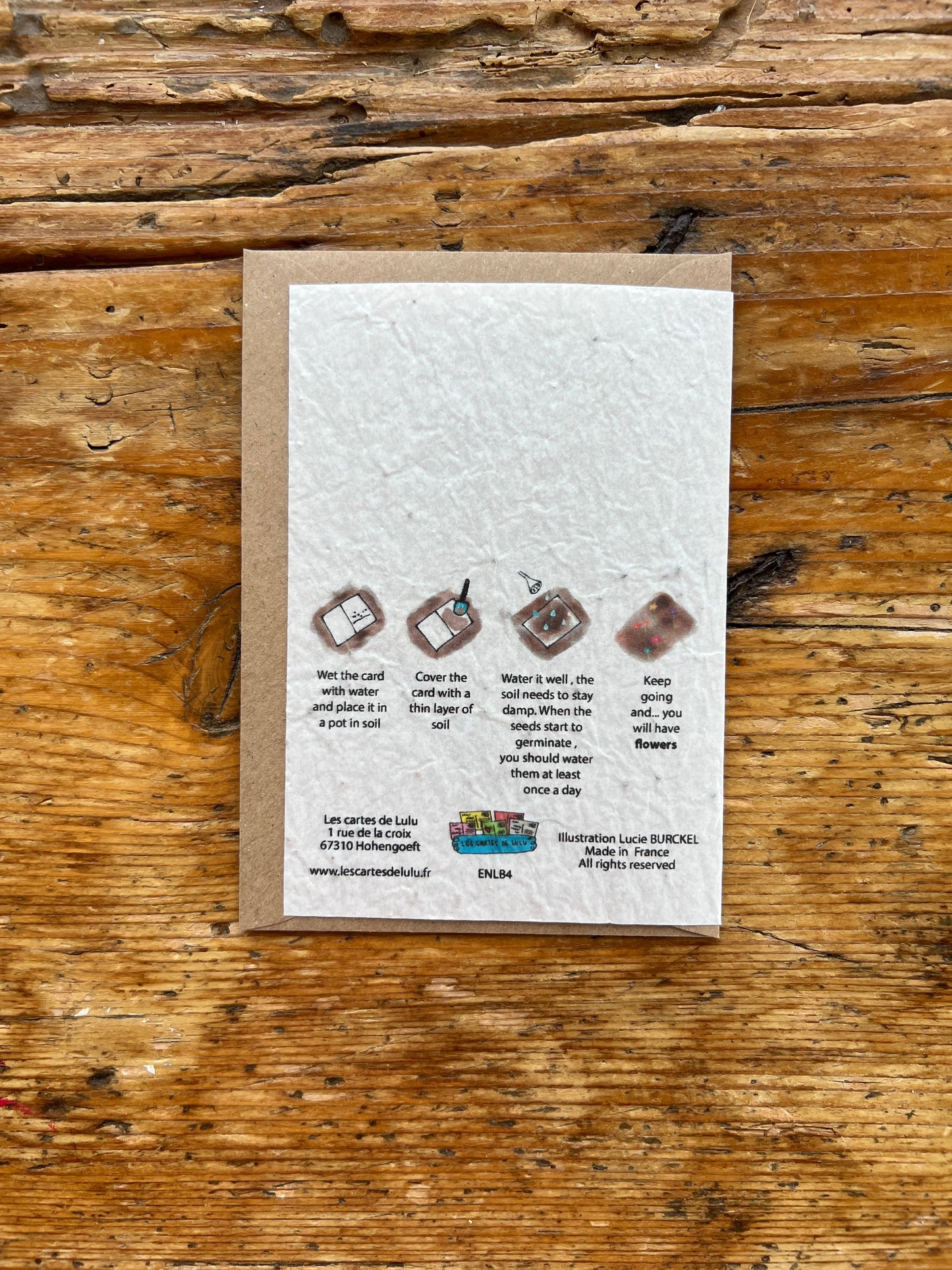 Cartolina da piantare « Dente di leone » con semi di fiori di campo