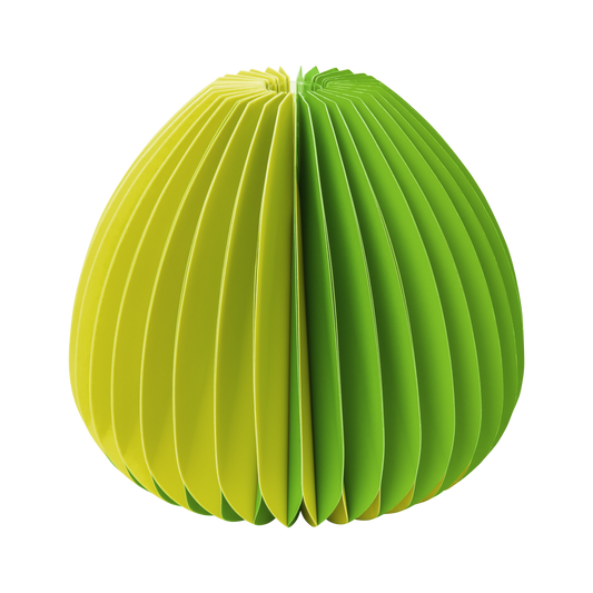 REMEMBER _ Vaso in carta VERDE